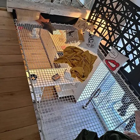 L'Atelier Gite-Loft 6/8 Pers Pontlevoy Exterior photo